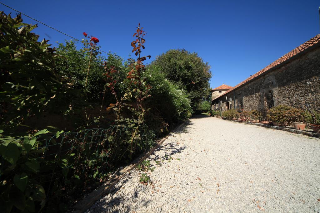 פסטום Azienda Agrituristica Seliano מראה חיצוני תמונה